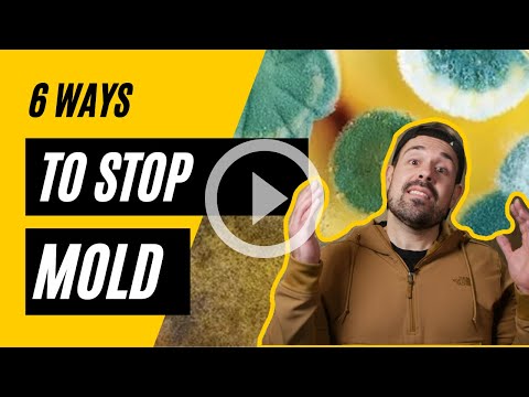 YouTube video about Effective Strategies to Halt Future Mold Growth