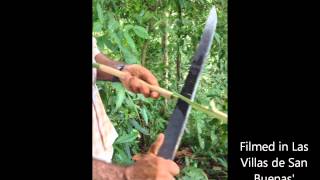 preview picture of video 'Costa Rica Jungle Medicine for Kidney Health'