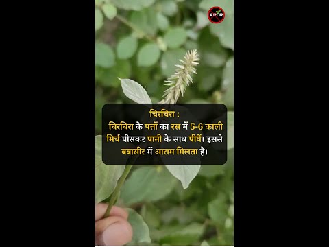 Treatment of Piles with Natural and Home Remedies Chirchira #antipiles #pilesclinic #pilescare