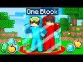 Minecraft But We Can't Leave This Block!