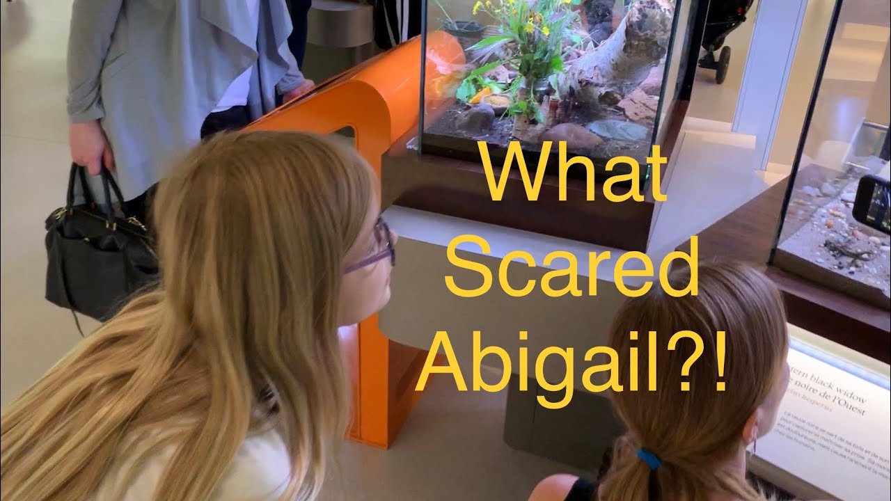 Day at the Museum! Family visit to the Royal Alberta Museum!