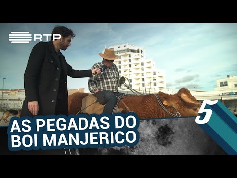 download lagu mp3 mp4 Manjerico, download lagu Manjerico gratis, unduh video klip Manjerico