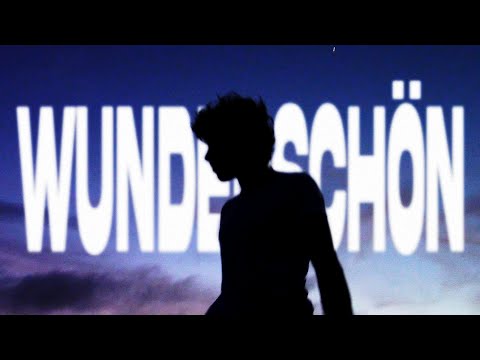 Zartmann - wunderschön on Spotify Charts