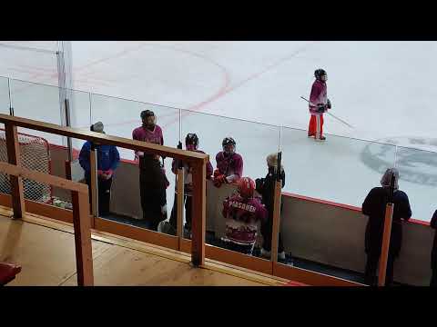 D Cloudy Lemon turnaus, Hyvinkää D vs Helsinki Golden Rings sijoitusottelu 5-6