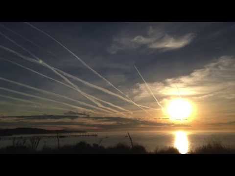 Trazer - Sunrise
