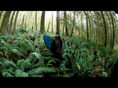 Introducing Andy Jones.