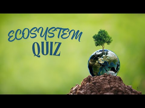 Ecosystem Fun Quiz For Kids