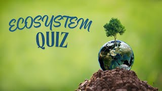 Ecosystem Fun Quiz for Kids! 🌱🌍