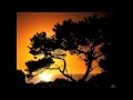 Karunesh - Phase 3 Heart 
