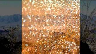 Hip Hop to Honkytonk by tigress1167