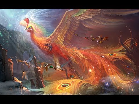 鳳凰是什麼鳥