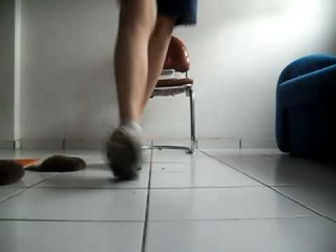 Rebolation Extreme Leo Zueira ( Trenigg )