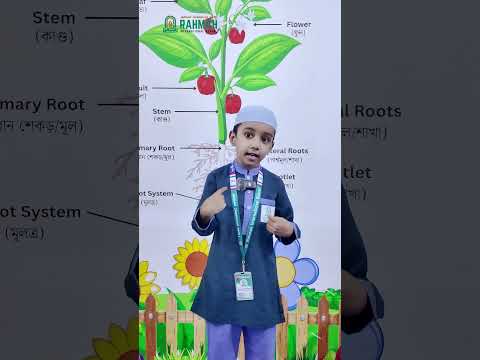 Video 1