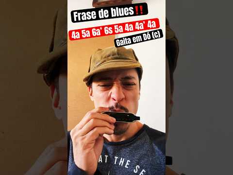 Frase de blues! Bora tocar!!! #musica #gaita #harmonicamusic #music #harmonicasolo