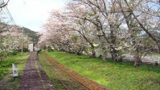 preview picture of video '佐賀県伊万里市浦ノ崎駅の桜/20100402'