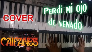PERDÍ MI OJO DE VENADO | CAIFANES | TECLADO COVER | ROCK EN TU IDIOMA | KORG X50 | CASIO LK 240 2025