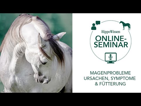 HippoWissen Fütterungsseminar: Magenprobleme beim Pferd