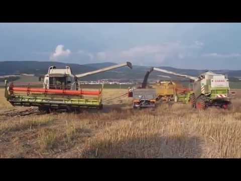 PD Dobrá Niva ► Žatva repky olejnej 2014 ► 2x Claas Lexion, New Holand, Tatra