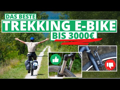 Bestes Trekking E-Bike bis 3000€