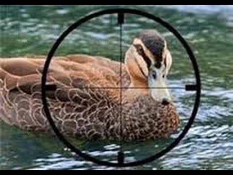 Tv7 con Voi del 25/02/2015 - La questione Veneta (2 di 3)