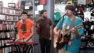 Miniature Tigers- Tropical Birds- Live