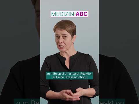 Was sind Nebennieren? - Medizin ABC | Asklepios #shorts