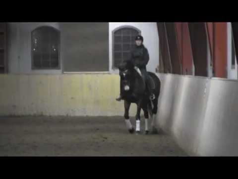 Schwarzgold på Hviderup