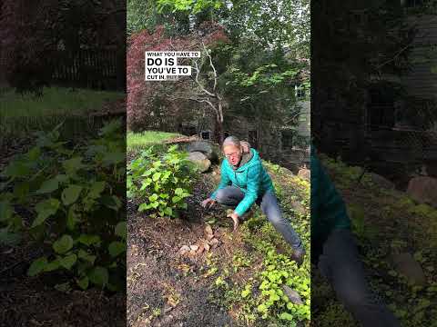 How To Plant On A Slope