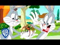 Looney Tunes | Are You Afraid of Spiders? | WB Kids