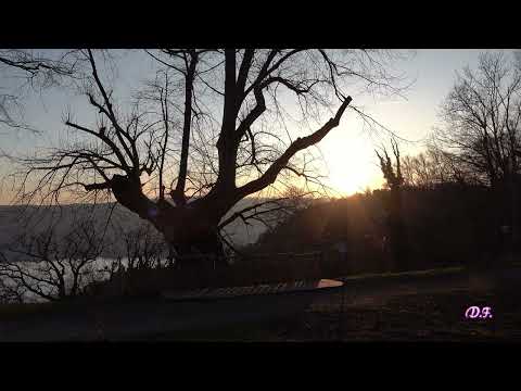 Ausblick auf den Überlinger See - 2025