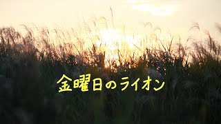 金曜日のライオン / TM NETWORK (chi4 cover)