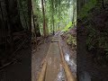 LAKE 22 TRAILHEAD  OF WASHINGTON || BEST HIKES OF WASHINGTON  || LOVING THE SERENEITY  #travel #fypシ
