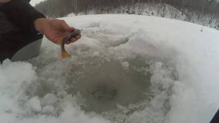 Что клюет на содышке во владимире