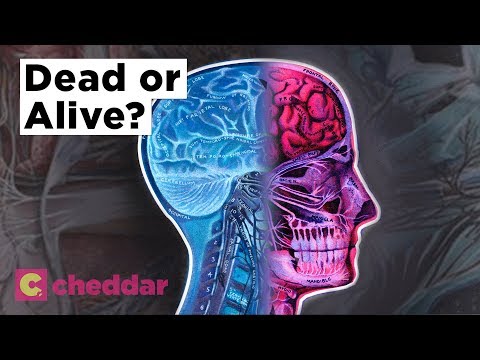 You Can Be Legally Dead In One Place And Alive In Another - Cheddar Explains