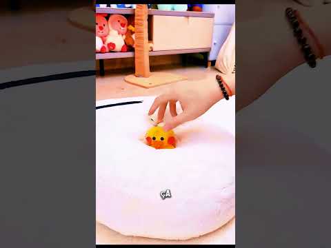 😂🐾 Il a pris le conseil au pied de la lettre… le résultat est incroyable !