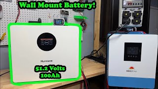 799$ Humsienk 100AH 51.2 volt Wall-Mounted LiFePO4 Battery Testing, Teardown, Review!
