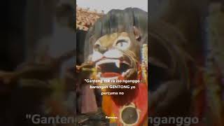 Download lagu Story Wa Barongan gentong mp3
