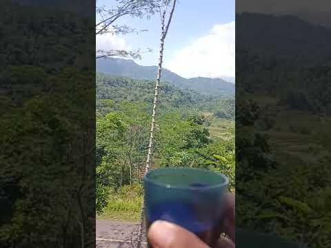 NGOPI DI TEMANI PEMANDANGAN ALAM YANG INDAH
