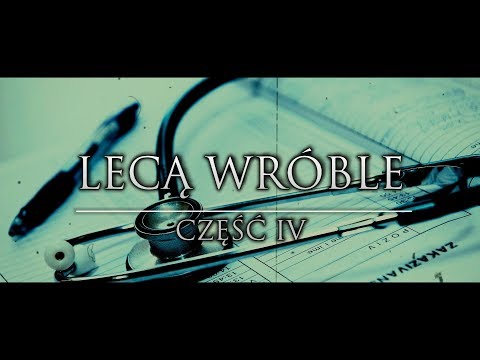 Lecą Wróble cz. 4 OSTATNIA - CreepyPasta (PL)