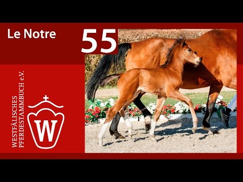 55 Le Notre HF v. Le Vivaldi - Florestan I