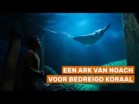 Weet Je Dat Ook Weer and Burgers' Zoo