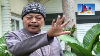 Download lagu JULA JULI CAK BOWO SUE GAK TAU JAMU mp3 Download lagu JULA JULI CAK BOWO SUE GAK TAU JAMU mp3