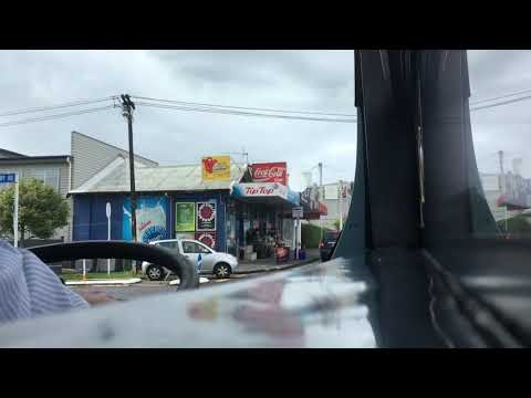MAN 16.230 #808 | Route 27W Waikowhai to City (Full Trip) | Drivers Side Window View