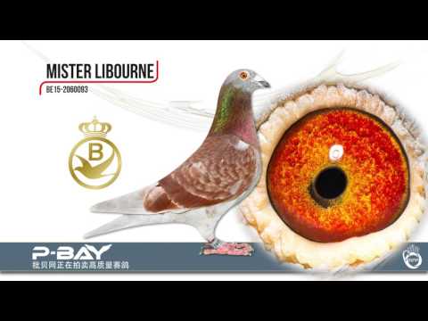 Desbuquois Bros: exclusive auction at P-BAY in 2017!