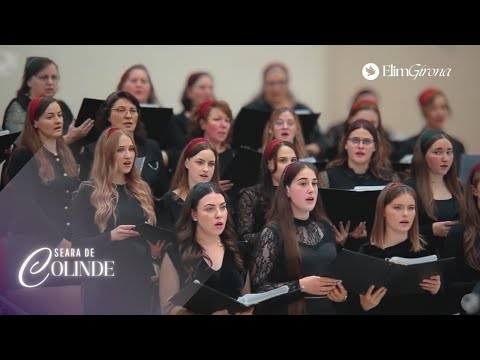 Child of Wonder | Corul Elim Girona