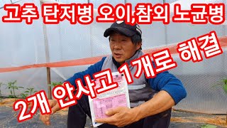 고추 탄저병 오이,참외 노균병을 약하나로~ 살균제,농약 고추재배방법 고추관리방법 주말농장,텃밭,귀농,귀촌