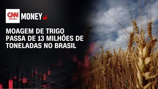 Vídeo: Moagem de trigo passa de 13 milhões de toneladas no Brasil | CNN AGRO NEWS