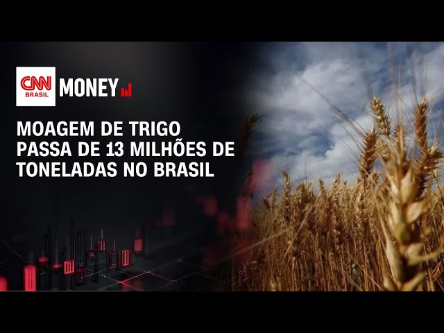 Moagem de trigo passa de 13 milhões de toneladas no Brasil | CNN AGRO NEWS