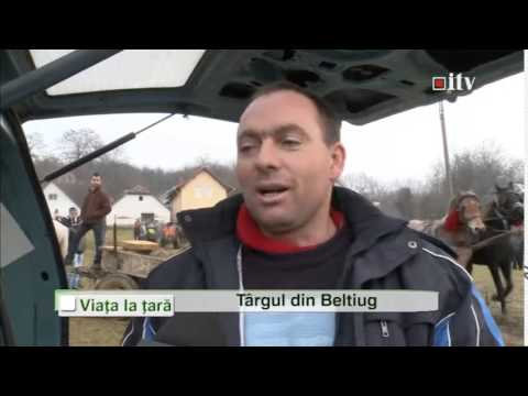 Târgul din Beltiug 11.01.2014