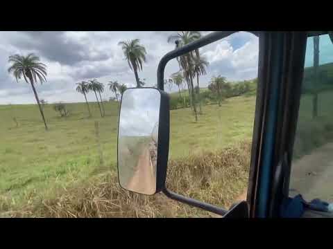 Serra da Saudade a MENOR CIDADE DO BRASIL!! bora puxar leite na chuva??